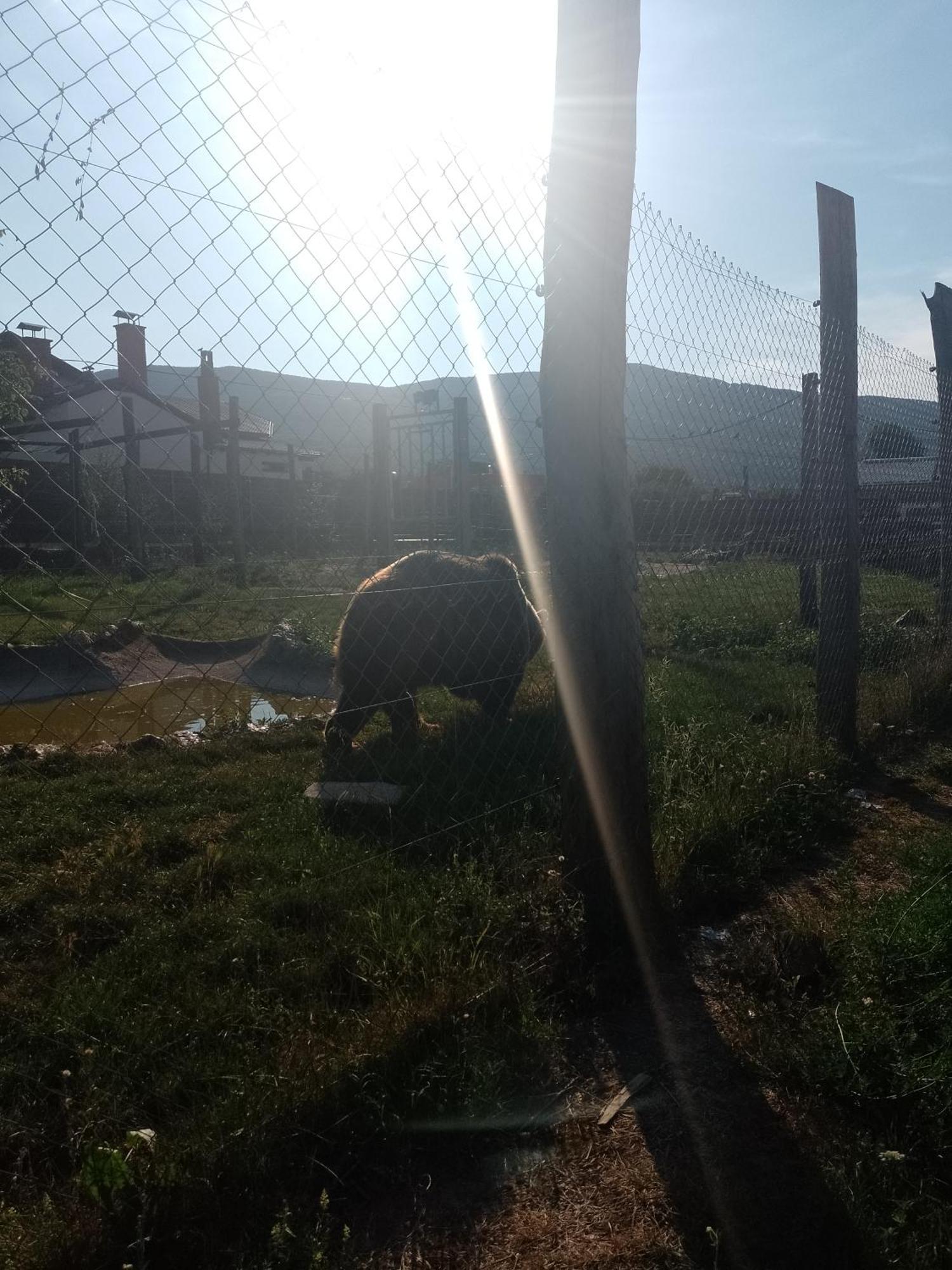 Djak * Plitvicka Jezera