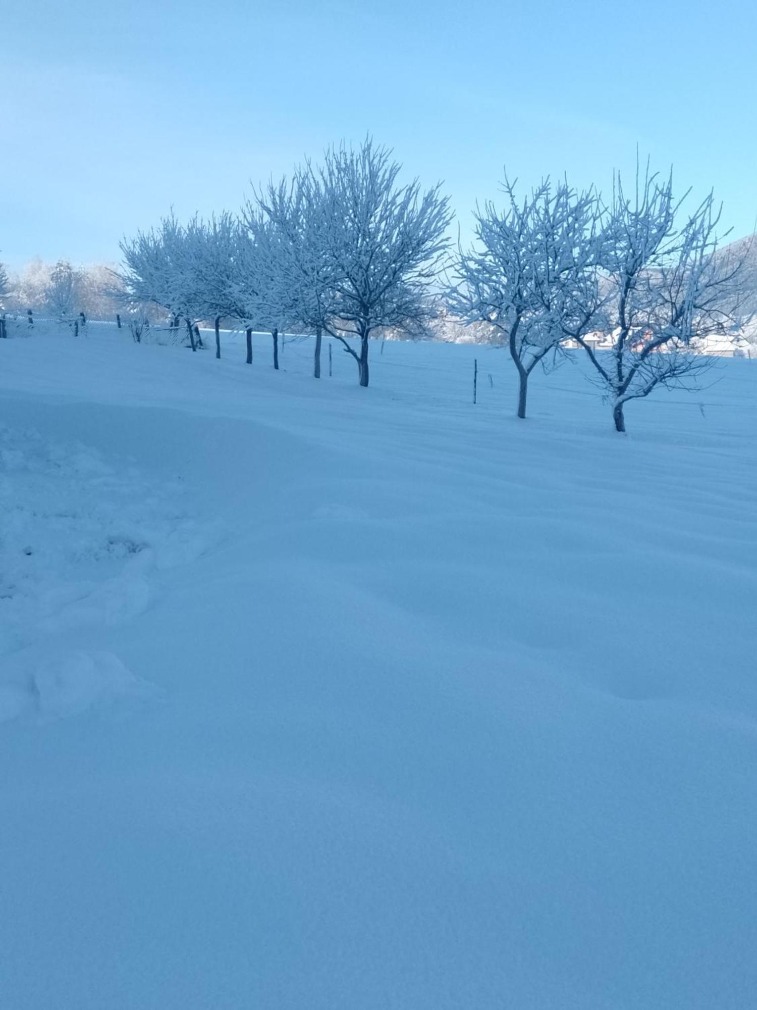 Djak Plitvicka Jezera